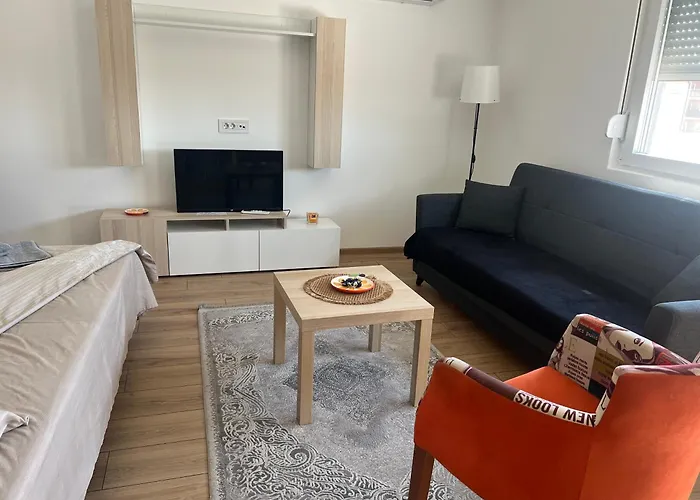 S&m Free Parking فرانيي